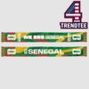 Spain FIFA World Cup 2026 We Are Spain Scarf