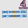 USA FIFA World Cup 2026 We Are USA Scarf